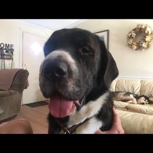 Meet your Posher, Matt